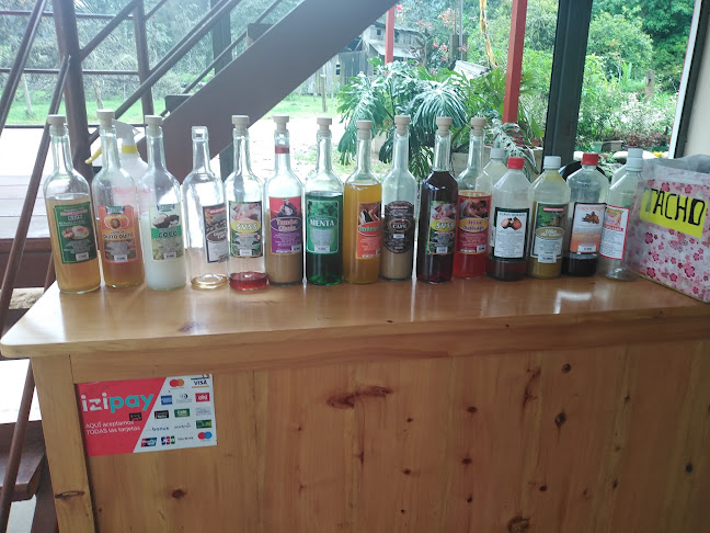 Opinii despre Oconal în Villa Rica - Gastronomía y hostelería