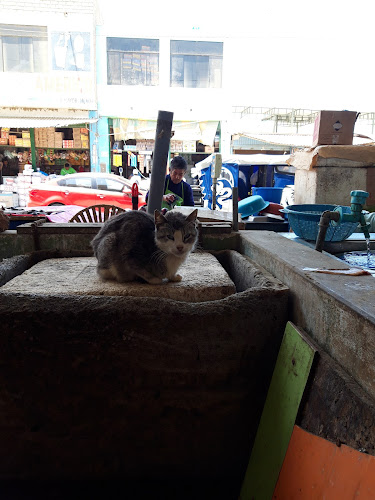 segunda entrada mercado la perla - Gastronomía y hostelería