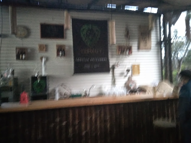 Comentarii opinii despre VARMALT cerveceria Artesanal