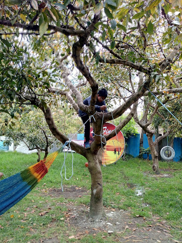 Recreo Campestre La Finca - Gastronomía y hostelería