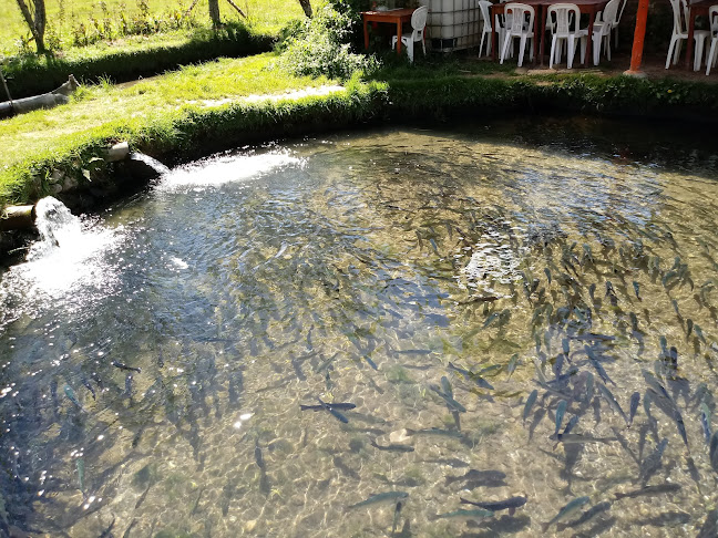 Av. Carlos Izaguirre s/n, San Martín de Porres 15301