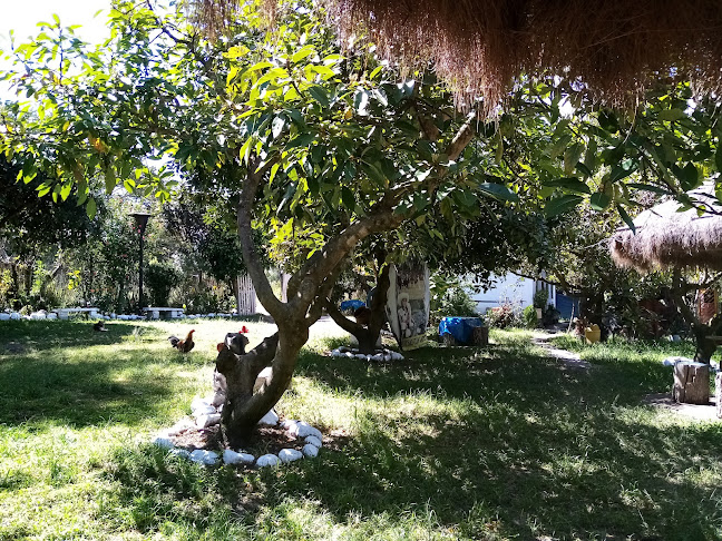 F8JF+6R2, Chota 06120