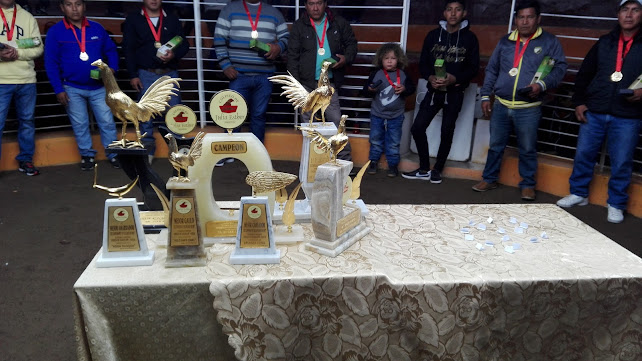 av., Miguel Grau 395, Nasca