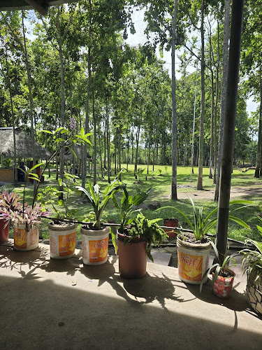 Mistura Restaurant - Gastronomía y hostelería