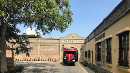Bodegas y Viñedos Tabernero