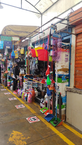 Mercado Modelo San Miguel