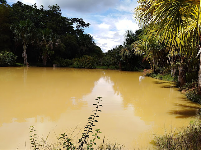 Opinii despre El Campechano Restaurante Campestre Iquitos Nauta în Nauta - Gastronomía y hostelería