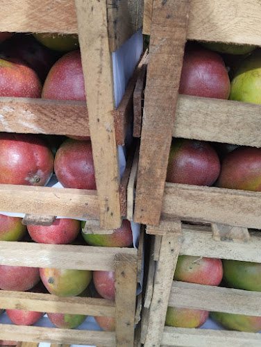 Opinii despre Campo Ferial Ilo în Ilo - Gastronomía y hostelería