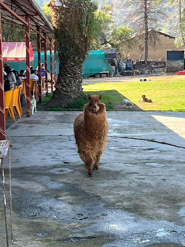 Av Tupac Amaru 156, Abancay 03001