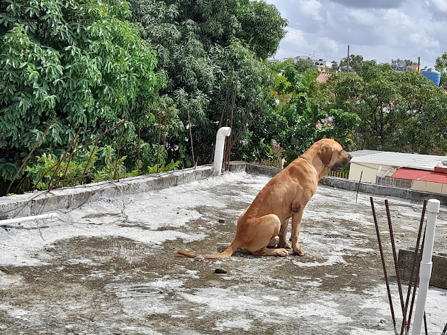 San Cristóbal - San Cristóbal