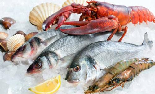 Lima 969, Chepén 13871