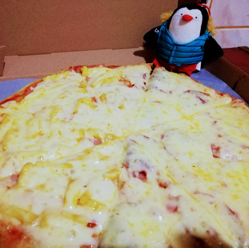 Comentarii opinii despre Pinguis Pizzas