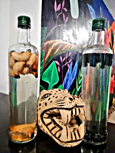 Exotic Jungle - Gastronomía y hostelería