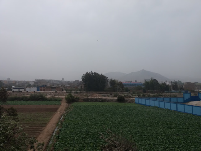 Distribuidora De Artika - Huachipa - Lurigancho