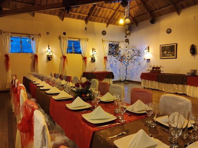 Comentarii opinii despre Puma de Piedra