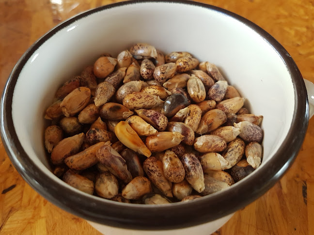 Un Cebichito Tacna - Tacna