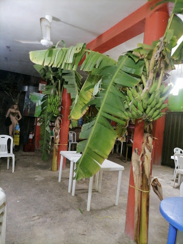 La casita de Pihuicho