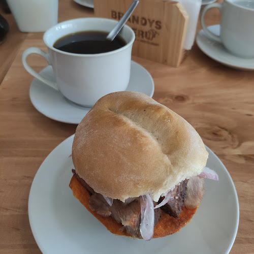 Comentarii opinii despre BRANDYS PERU