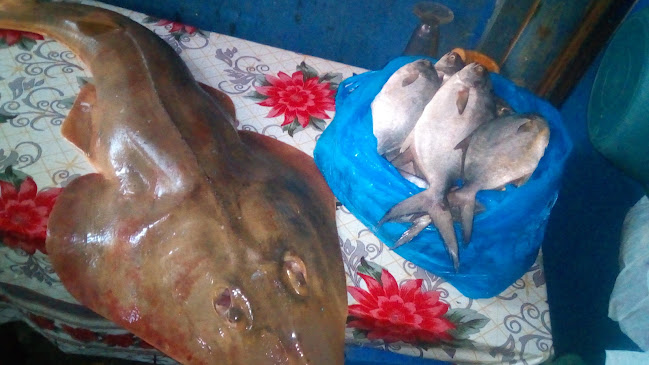 Restaurante EL ENCUENTRO De La Sra Agripina Curo Loro - Gastronomía y hostelería