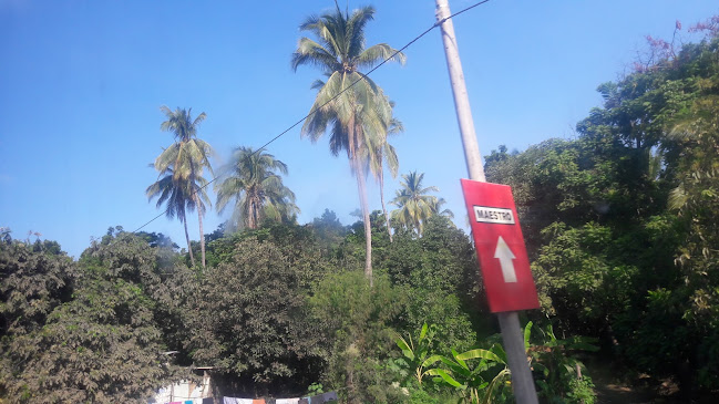 Bar Picanteria La Criollita - Gastronomía y hostelería