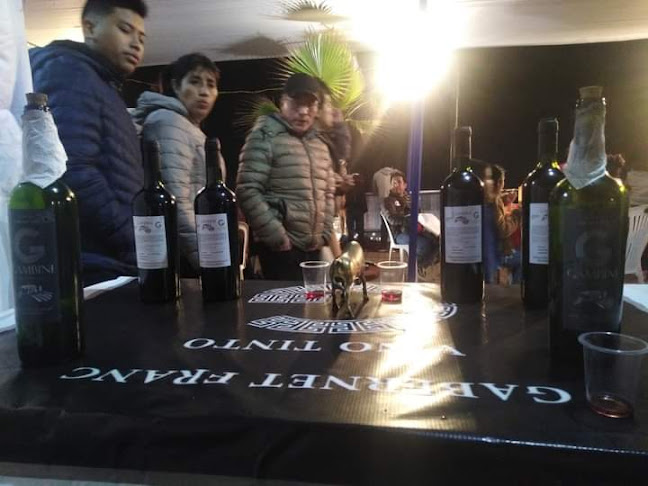 Comentarii opinii despre Vino gambini