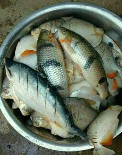 Comentarii opinii despre RESTAURANT CEVICHERIA El Rinconcito De Benito