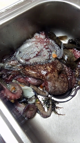 Comentarii opinii despre Restaurant El Pescadito