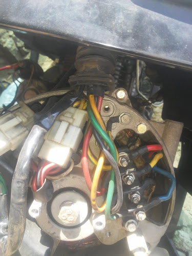 Comentarii opinii despre Don Beli