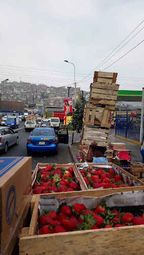 FRUVERNEW - VENTA DE FRUTAS Y VERDURAS LIMA PERU - DISTRIBUCIÓN DE FRUTAS Y VERDURAS LIMA PERU