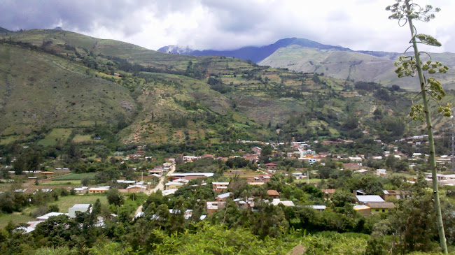 Mercado Viejo - Gastronomía y hostelería