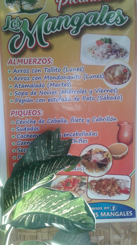 Picanteria "Los Mangales" Catacaos Piura Campestre - Gastronomía y hostelería