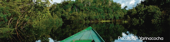 Maywa Lounge bar Pucallpa - Gastronomía y hostelería