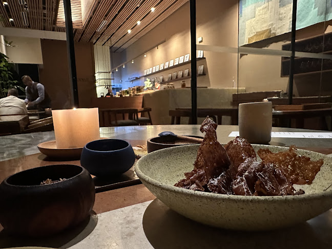 Comentarii opinii despre Kjolle