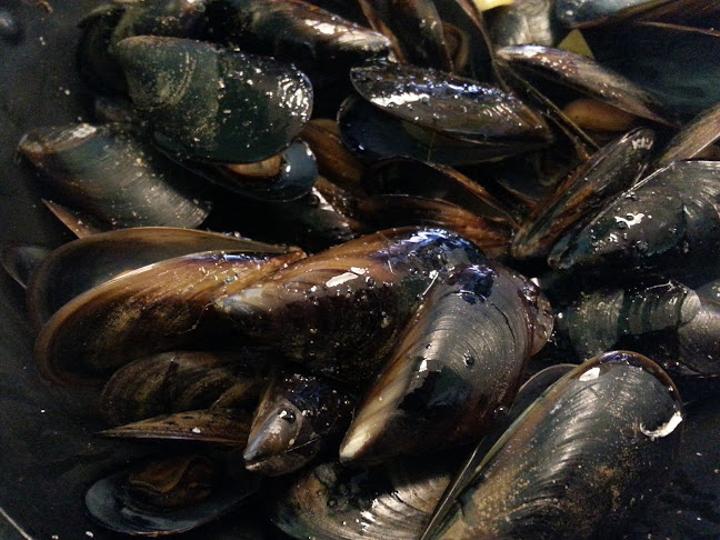 Opinii despre Restaurante Can Mario's în Trujillo - Gastronomía y hostelería