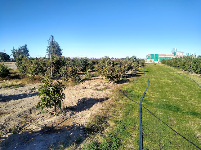 Comentarii opinii despre Mercado De Santa Rita De Siguas