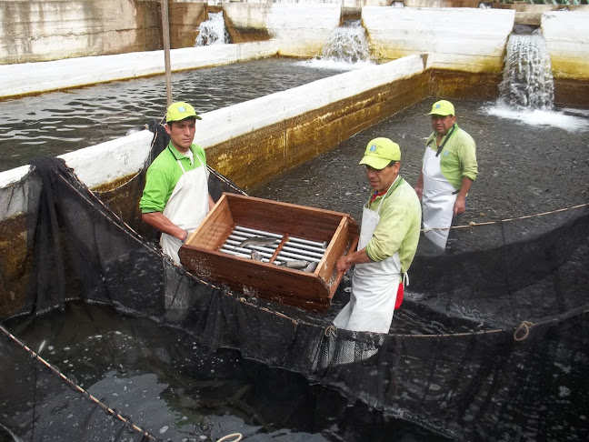 Villa Cantange - Oxamarca