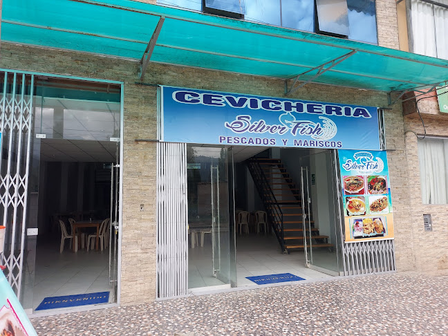 Silver fish - Andahuaylas