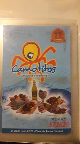 Jr. 28 de Julio, Camaná 04451