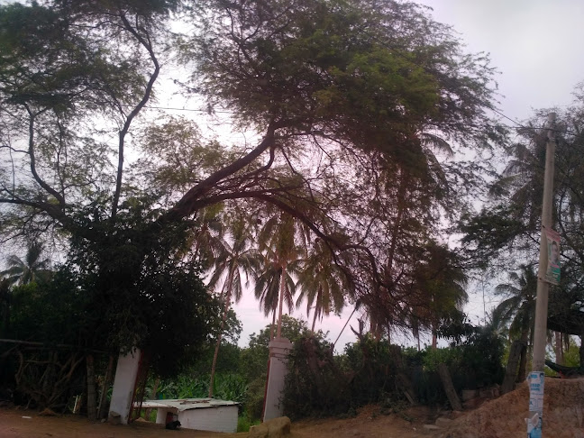 479W+CMR, Marcavelica 20121