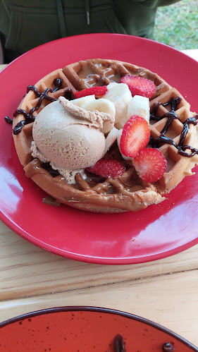Comentarii opinii despre Helados Artesanales Señor Trol's