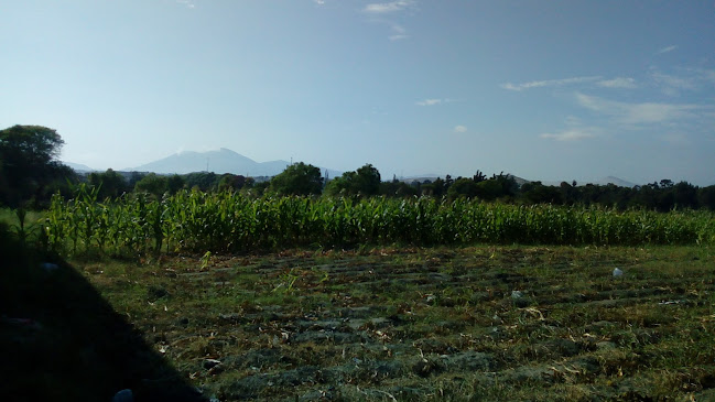 Opinii despre BIVA ICE CREAM în Nuevo Chimbote - Gastronomía y hostelería