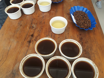 Cooperativa de Servicios Múltiples Frutos de Selva