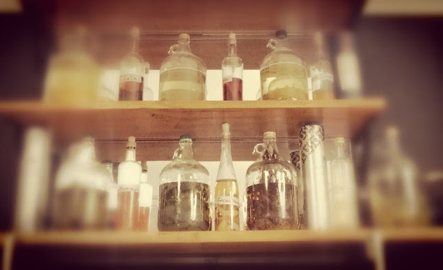 Opinii despre Catarsis AQP în Arequipa - Gastronomía y hostelería