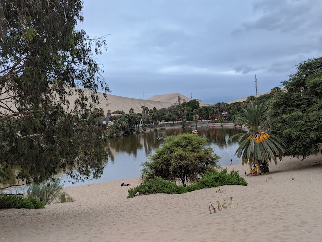 Wild Olive Trattoria & Guest House - Gastronomía y hostelería