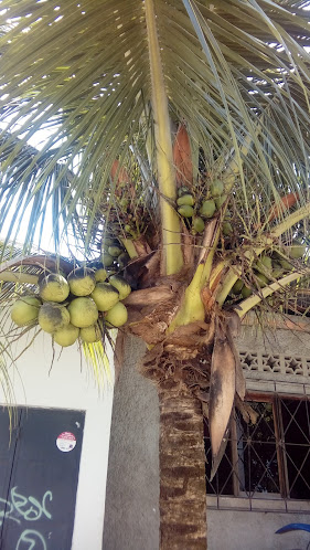 Distribuidora Don Javier