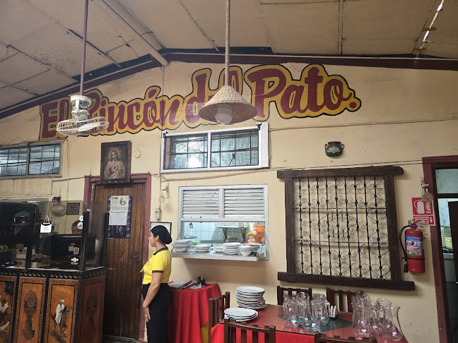 Comentarii opinii despre El Rincon del Pato