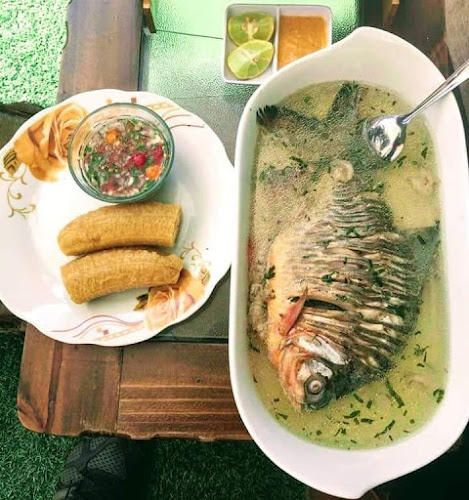 TORO MATA - Tingo María