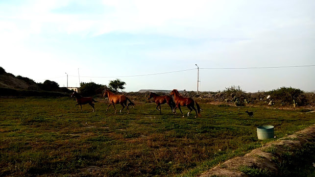 MC59+3WG, Provincia de Santa Martha, Pacasmayo