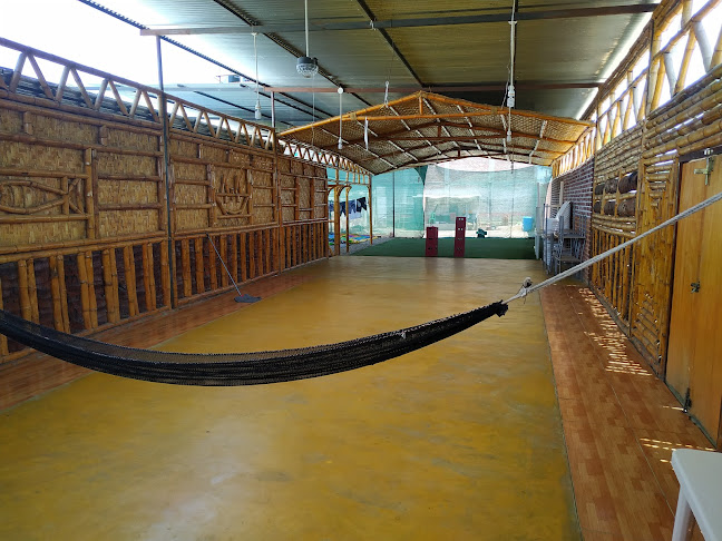 R26H+77Q, Morropón 20311