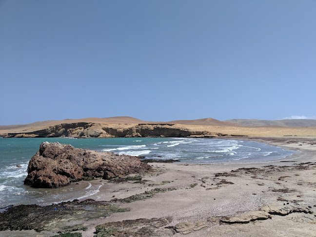 Opinii despre Restaurant-Cevichería La Tia Fela în Paracas - Gastronomía y hostelería